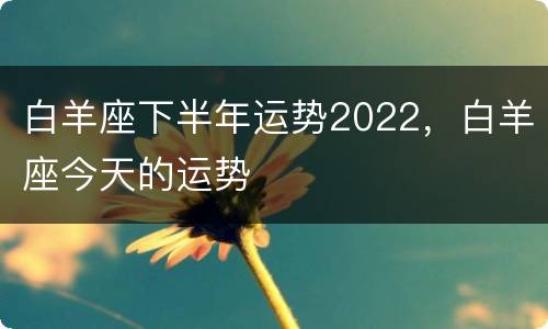 白羊座下半年运势2022，白羊座今天的运势