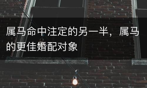 属马命中注定的另一半，属马的更佳婚配对象