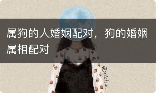 属狗的人婚姻配对，狗的婚姻属相配对