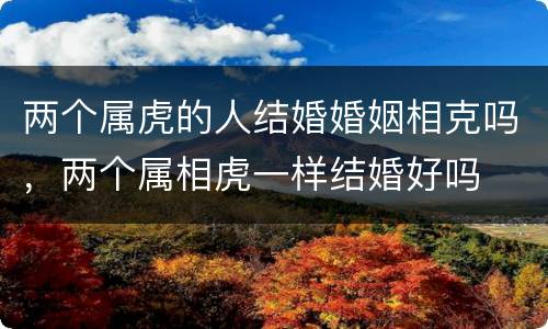 两个属虎的人结婚婚姻相克吗，两个属相虎一样结婚好吗