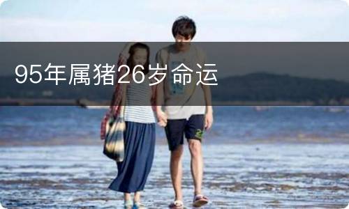 95年属猪26岁命运