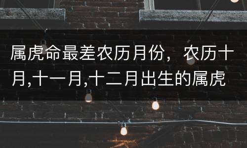 属虎命最差农历月份，农历十月,十一月,十二月出生的属虎人,命运真的不好