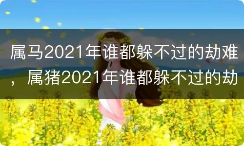 属马2021年谁都躲不过的劫难，属猪2021年谁都躲不过的劫难