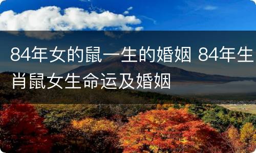 84年女的鼠一生的婚姻 84年生肖鼠女生命运及婚姻