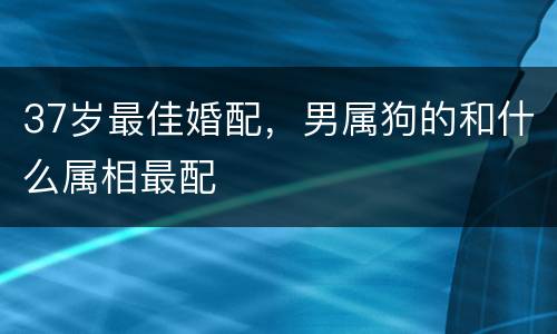 37岁最佳婚配，男属狗的和什么属相最配