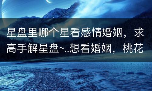 星盘里哪个星看感情婚姻，求高手解星盘~..想看婚姻，桃花，姻缘这方面的