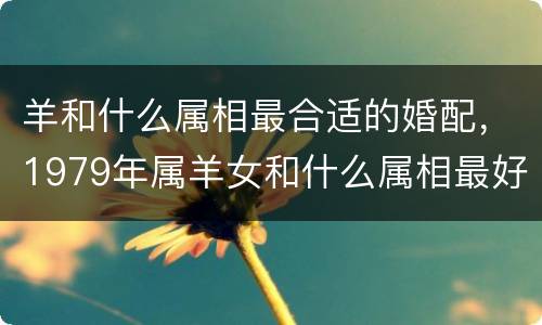 羊和什么属相最合适的婚配，1979年属羊女和什么属相最好婚配
