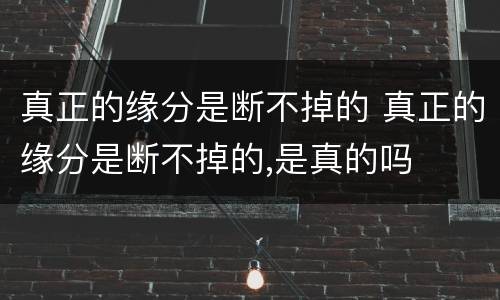 真正的缘分是断不掉的 真正的缘分是断不掉的,是真的吗