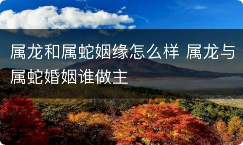 属龙和属蛇姻缘怎么样 属龙与属蛇婚姻谁做主