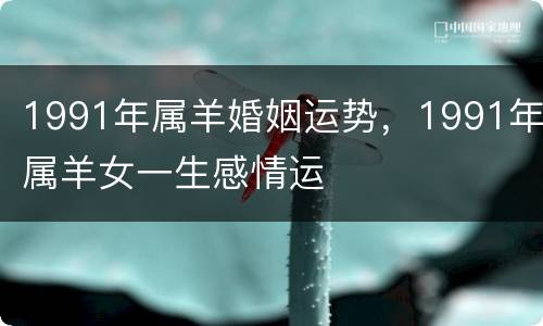 1991年属羊婚姻运势，1991年属羊女一生感情运