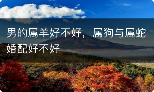 男的属羊好不好，属狗与属蛇婚配好不好