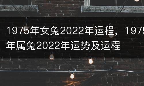1975年女兔2022年运程，1975年属兔2022年运势及运程