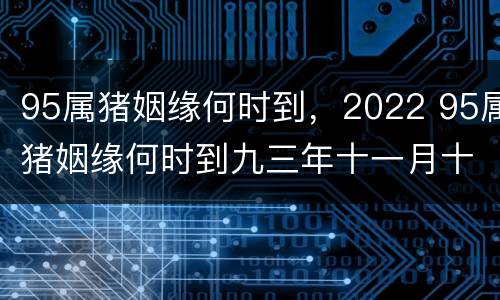 95属猪姻缘何时到，2022 95属猪姻缘何时到九三年十一月十四生的男生好吗