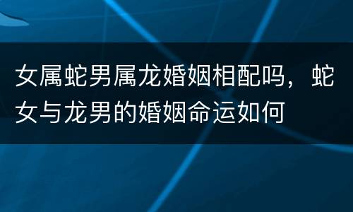 女属蛇男属龙婚姻相配吗，蛇女与龙男的婚姻命运如何