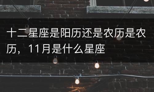 十二星座是阳历还是农历是农历，11月是什么星座