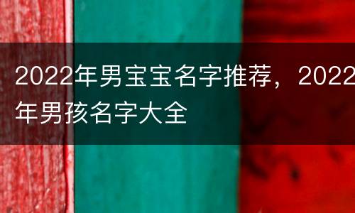 2022年男宝宝名字推荐，2022年男孩名字大全