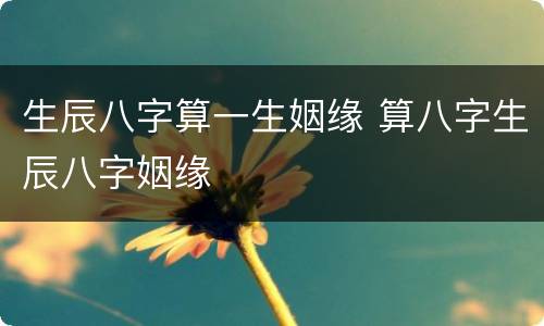 生辰八字算一生姻缘 算八字生辰八字姻缘