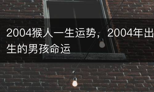 2004猴人一生运势，2004年出生的男孩命运
