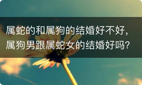 属蛇的和属狗的结婚好不好，属狗男跟属蛇女的结婚好吗？