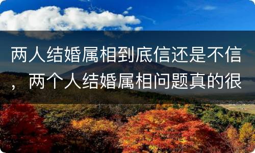 两人结婚属相到底信还是不信，两个人结婚属相问题真的很重要吗？