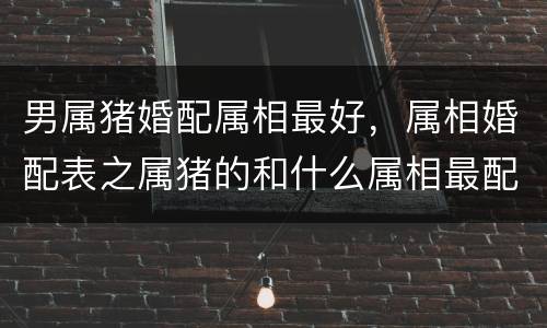 男属猪婚配属相最好，属相婚配表之属猪的和什么属相最配