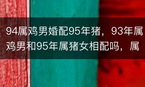 94属鸡男婚配95年猪，93年属鸡男和95年属猪女相配吗，属相合不合适