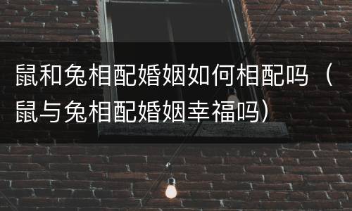 鼠和兔相配婚姻如何相配吗（鼠与兔相配婚姻幸福吗）