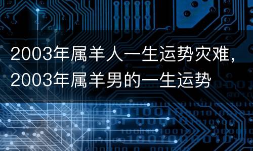 2003年属羊人一生运势灾难，2003年属羊男的一生运势