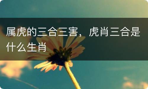 属虎的三合三害，虎肖三合是什么生肖