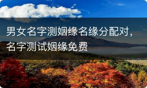 男女名字测姻缘名缘分配对，名字测试姻缘免费