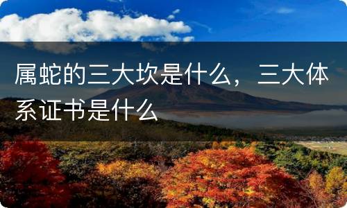 属蛇的三大坎是什么，三大体系证书是什么