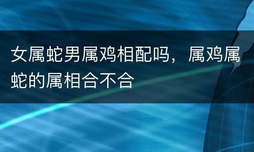 女属蛇男属鸡相配吗，属鸡属蛇的属相合不合