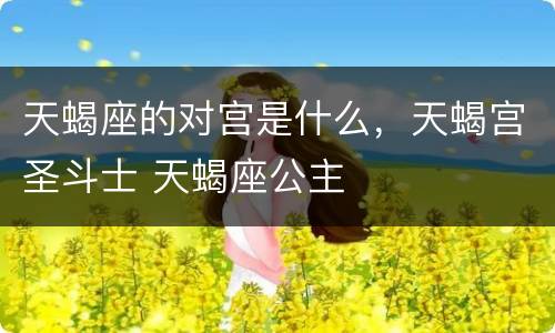 天蝎座的对宫是什么，天蝎宫圣斗士 天蝎座公主