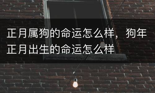 正月属狗的命运怎么样，狗年正月出生的命运怎么样