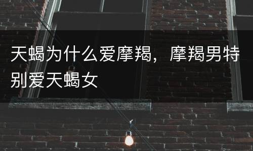 天蝎为什么爱摩羯，摩羯男特别爱天蝎女