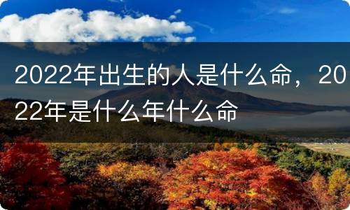 2022年出生的人是什么命，2022年是什么年什么命