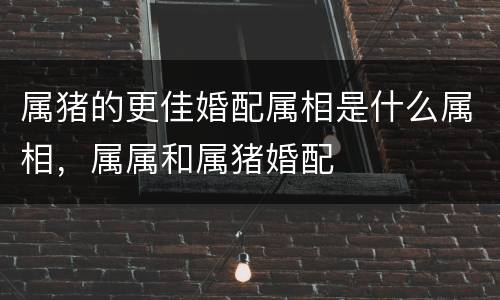 属猪的更佳婚配属相是什么属相，属属和属猪婚配