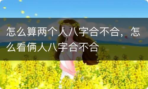 怎么算两个人八字合不合，怎么看俩人八字合不合