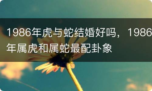 1986年虎与蛇结婚好吗，1986年属虎和属蛇最配卦象