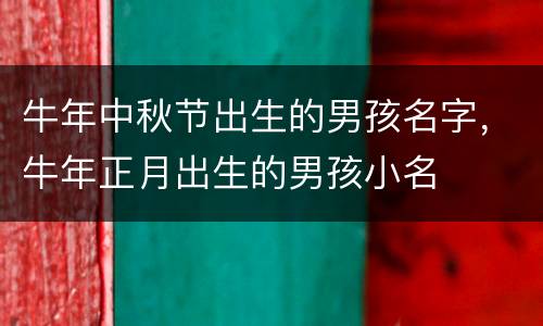 牛年中秋节出生的男孩名字，牛年正月出生的男孩小名
