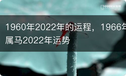 1960年2022年的运程，1966年属马2022年运势