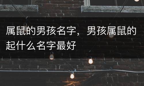 属鼠的男孩名字，男孩属鼠的起什么名字最好
