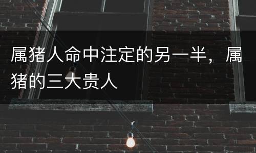 属猪人命中注定的另一半，属猪的三大贵人