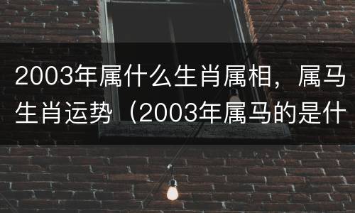 2003年属什么生肖属相，属马生肖运势（2003年属马的是什么）