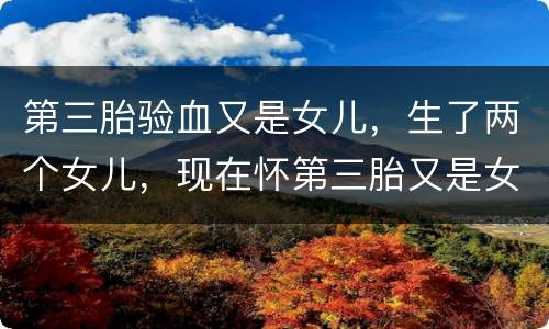第三胎验血又是女儿，生了两个女儿，现在怀第三胎又是女儿。