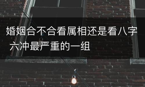婚姻合不合看属相还是看八字 六冲最严重的一组