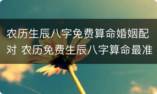 农历生辰八字免费算命婚姻配对 农历免费生辰八字算命最准