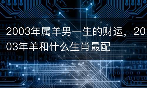 2003年属羊男一生的财运，2003年羊和什么生肖最配