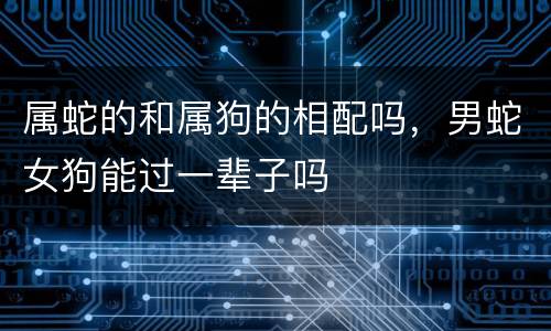 属蛇的和属狗的相配吗，男蛇女狗能过一辈子吗