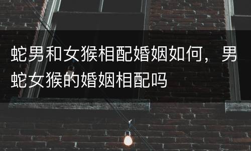 蛇男和女猴相配婚姻如何，男蛇女猴的婚姻相配吗